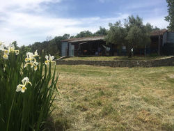 Maison bois bleu, en Cévennes