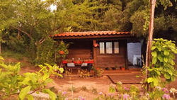 O Cantinho de Coura - a cabana