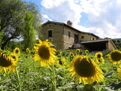 Appartamenti Verde Collina Umbra