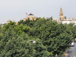 Paseo de la Ribera. Córdoba.