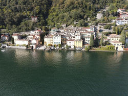 Lugano Lake, nido del cigno