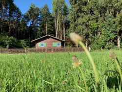 Waldchalet am Eichhof