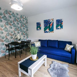 Apartament w centrum V