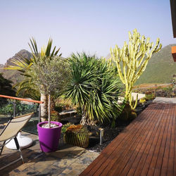 Casa rural con piscina en Santiago del Teide Wellness Las Viñas