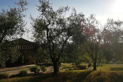 Agriturismo Fattoio alle Ripe - Fienile