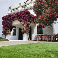 VILLA ELS FLAMENCS