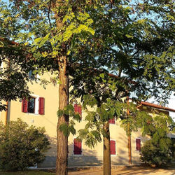 RONCSORELI - Le camere nel Borgo