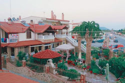 Palm Garden Villa