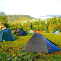 Popas Fefeleaga-Camping