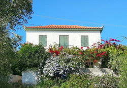 The Olive yard house in Koroni