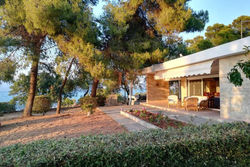 Pine tree beachfront villa