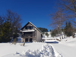 Botanica Zlatibor