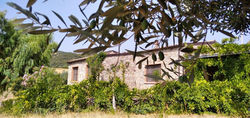 Tenuta Rara Avis