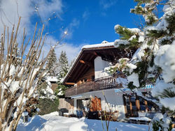 Half chalet with garden & balcony - 2' to skibus