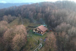 House in the Forest