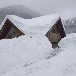 Nido di montagna
