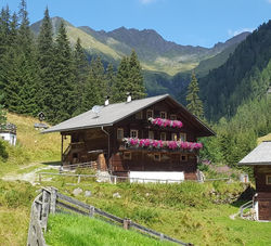 Gallfallalm