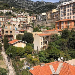 Citronnier Monaco Sea View