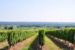 CLOS SAINT SAUVEUR - guesthouse au coeur des vignes sur le coteau