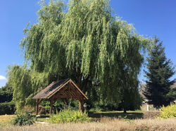 Charmant T2 au 1er dans résidence avec parc arboré