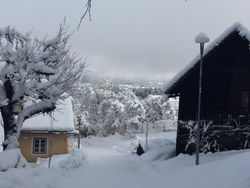 Ferienhaus am Wildbach