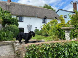 Honeysuckle Cottage