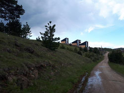 Zlatibor Wild nest Wolf