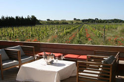 Le Clos des Vignes - Stunning Villa with Vineyard View in Montpellier