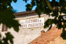 Fattoria di Pieve Pagliaccia