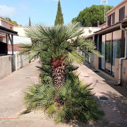 Maison à la plage climatisée et wifi fibre pour télétravail