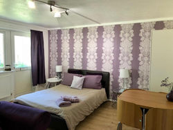 11 Quiet Cosy Apartment HP15 6RL with back garden, animal friendly