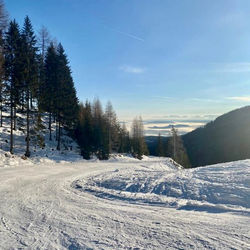 Ferienwohnung-Alpine