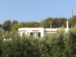 Casa di Terradeci 1 CIS Puglia LE07501991000004863