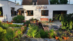 Savana