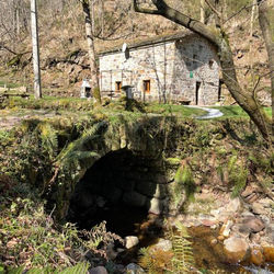 La Cabaña del Río