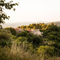 Les Balcons de Lacamp, panorama unique en Cévennes