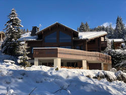 Chalet Milou