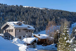 Chalet L'Orchidée, familial avec Spa pour 16 personnes