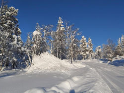 Saariselän Kuksa