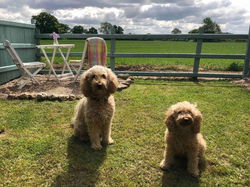 Soldiers Cottage, with HOT TUB, dog friendly, great views