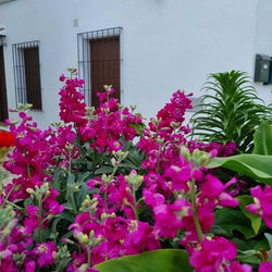 Casa Francisca en el casco antiguo