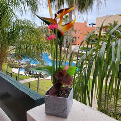 Apartamento exótico en primera línea de Vera-Playa!