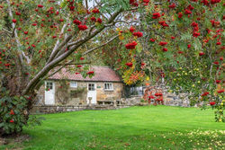 Foxglove Cottage