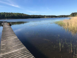 Cosy lodge at horse farm with lake and sauna